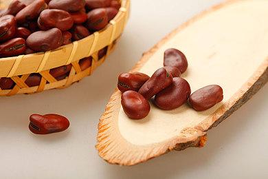 《天命奇御：归途》特色天赋、信物系统玩法大揭秘！